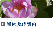 団体参拝案内