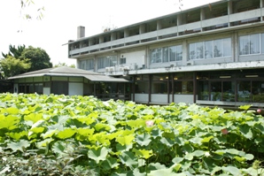 高田青少年会館（たかだせいしょうねんかいかん）