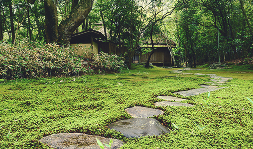 雲幽園・安楽庵
