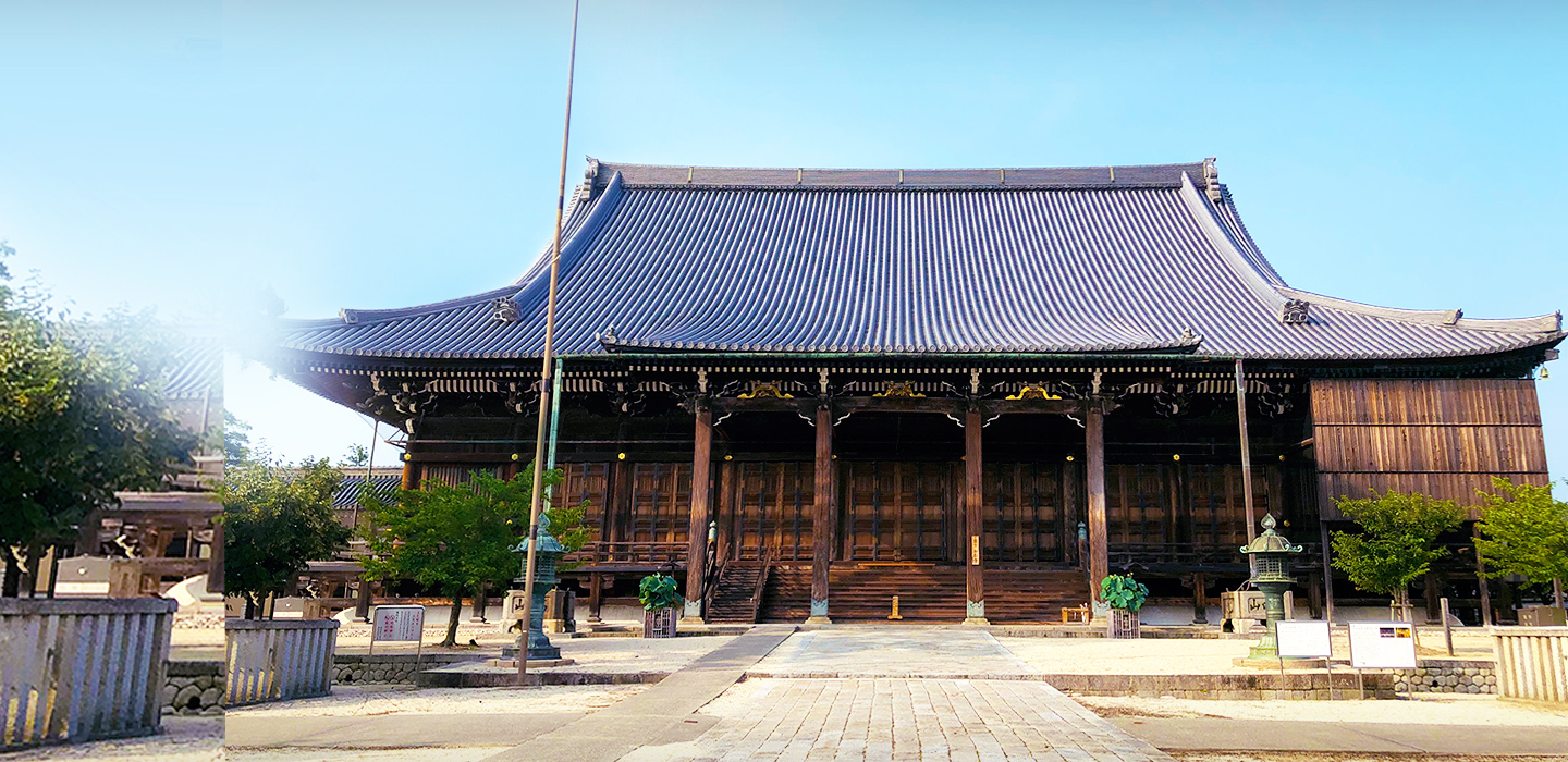 山門｜真宗高田派本山 専修寺