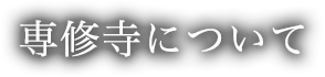 専修寺について